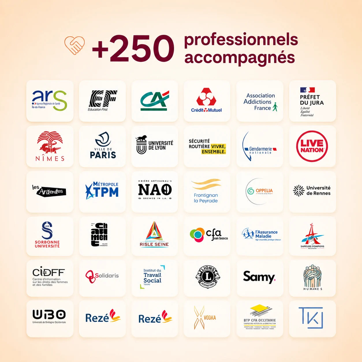 Pack de 250 à 2500 protections de verre - My Safe Cup
